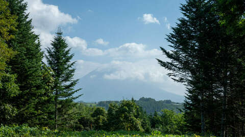 Niseko Realty Tomikawa 288 Land 1 1024x681