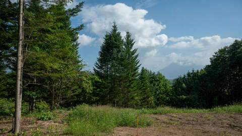Niseko Realty Tomikawa 288 Land 1024x681