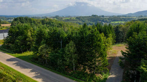Niseko Realty Tomikawa 288 Land 2 1024x682