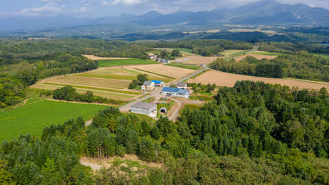 Niseko Realty Tomikawa 288 Land 5 1024x682