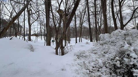Niseko Realty Yamada Yotei View Plot 1
