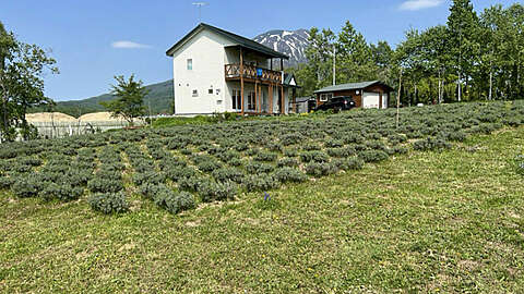 Niseko Herb House1