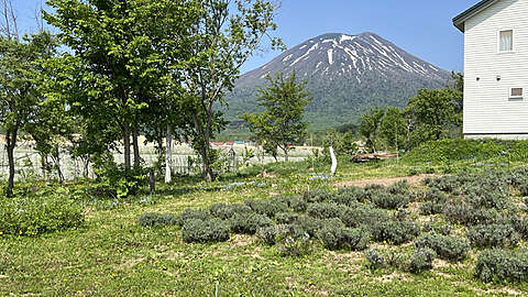 Niseko Herb House4