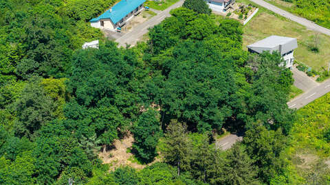 Niseko Hondoro456 4