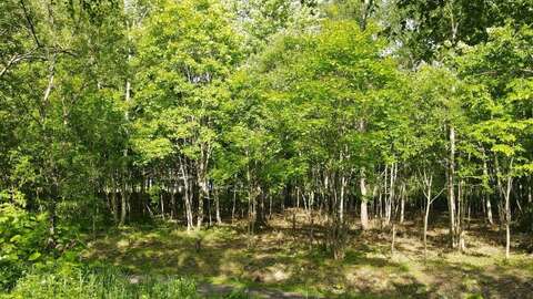 Niseko Kondo Land 5 1200x1000