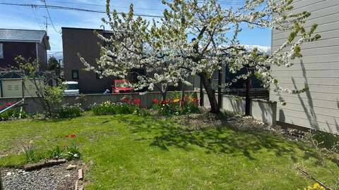 PHOTO 2026 06 17 15 29 37 1