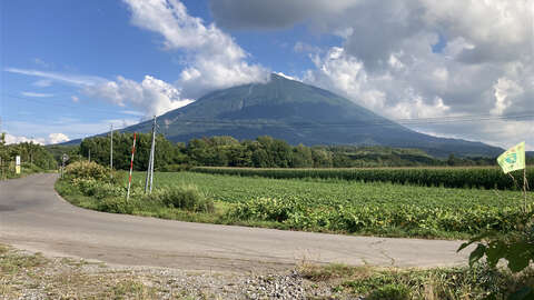 Panorama View Hirafu Land6