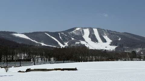 Pine Beak Winter View