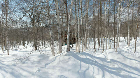 Prestige Moiwa Onsen Land 12