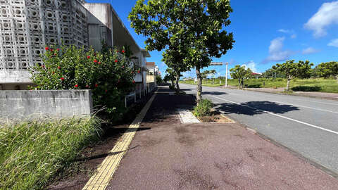 Prime 195 sqm Residential Land Near Shiozaki Beach Okinawa5
