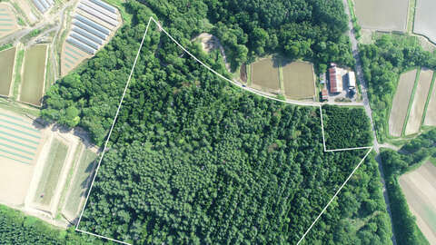 Rankoshi Big Land3