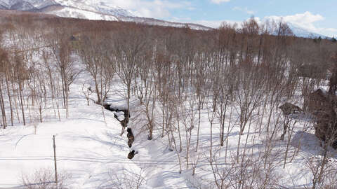 Royal Town 1073 Sqm Land 2