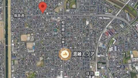 S 29876336 0
