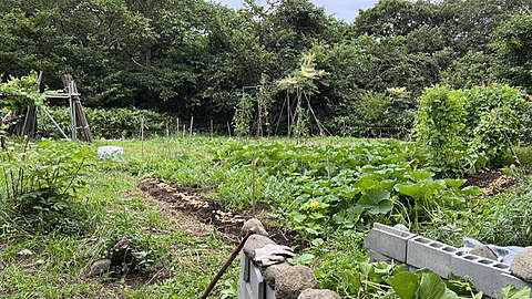 Shakotan Cabin6