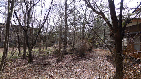 Shiozawa Land4
