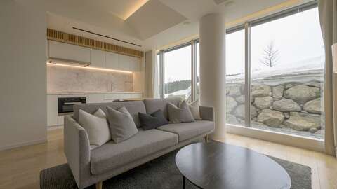 Skye Niseko 205 Niseko Realty 5