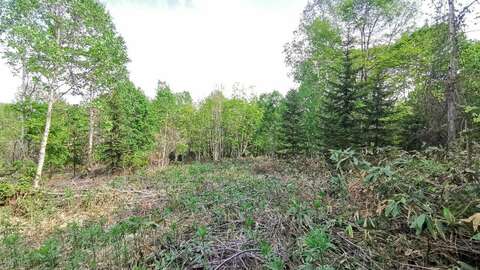 Soga50000sqm5