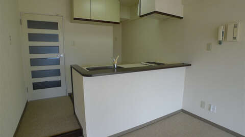 South Facing 1 BR Condo with Stunning Mt Fuji Views6