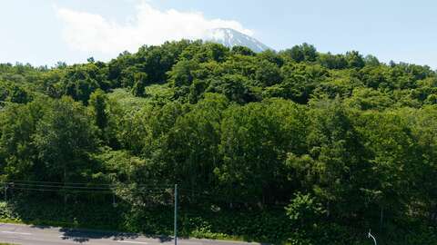 Tatsumi Main road Land 3