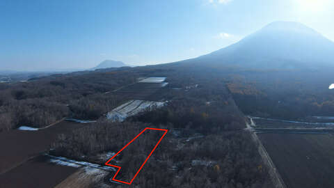Toyooka Nature Land 02 Line