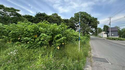 Unix Moiwa Land3