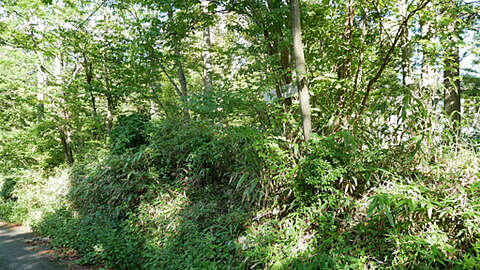 Villa Land in Peaceful Gora Hakone2