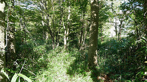 Villa Land in Peaceful Gora Hakone3