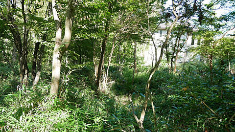 Villa Land in Peaceful Gora Hakone4