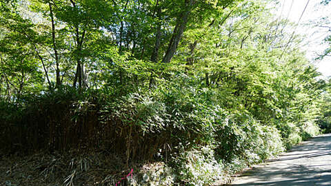 Villa Land in Peaceful Gora Hakone6