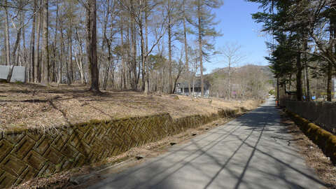 Woodland Land Near Lake Yamanaka 5
