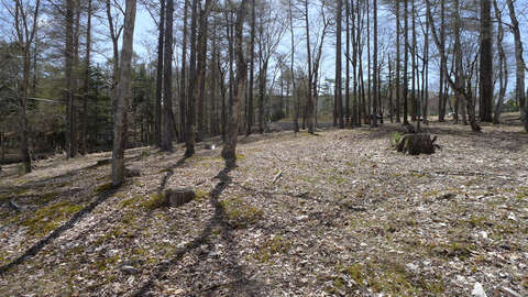Woodland Land Near Lake Yamanaka 6