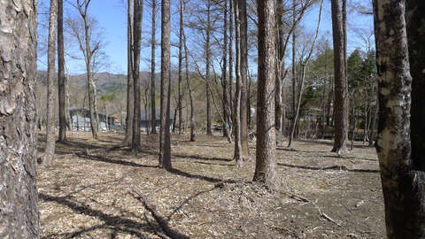 Woodland Land Near Lake Yamanaka 7