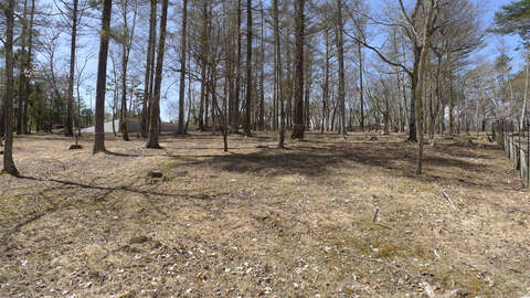 Woodland Land Near Lake Yamanaka 8