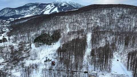 Yamada Hirafu Forest Block NRE 14