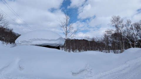 Yamada Yotei Views NRE 12
