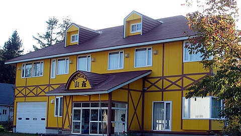 Yellow BB1