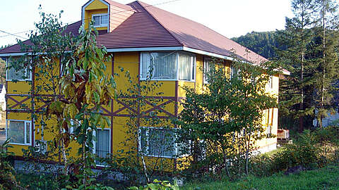 Yellow BB2