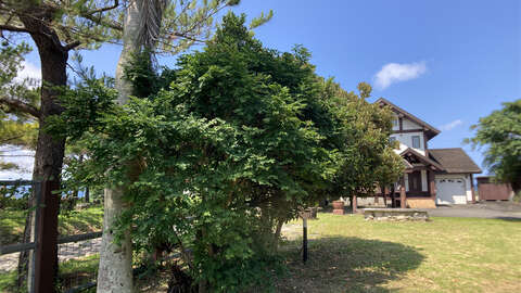Yomiton House5