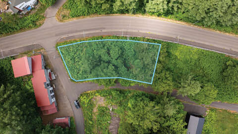 Yunosato 314 Tsubo Forested Site Aerial 16