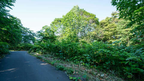 Yunosato Corner Lot 2