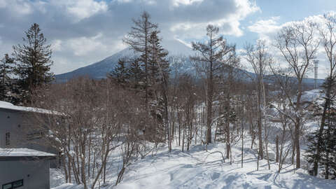 Alpen estate 13