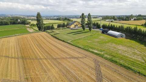 Dji fly 20260728 135956 803 1785214808302 photo