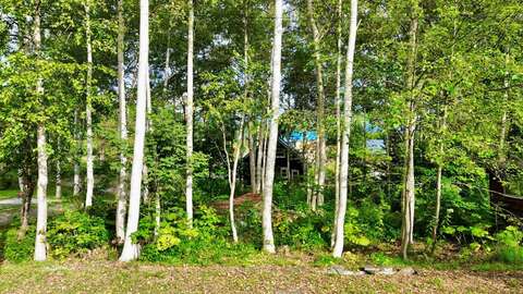 Dji fly 20260831 130956 198 1788168184749 photo optimized