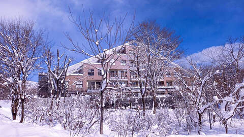 Hakbua tsugaike snow 1