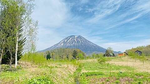 Youtei view