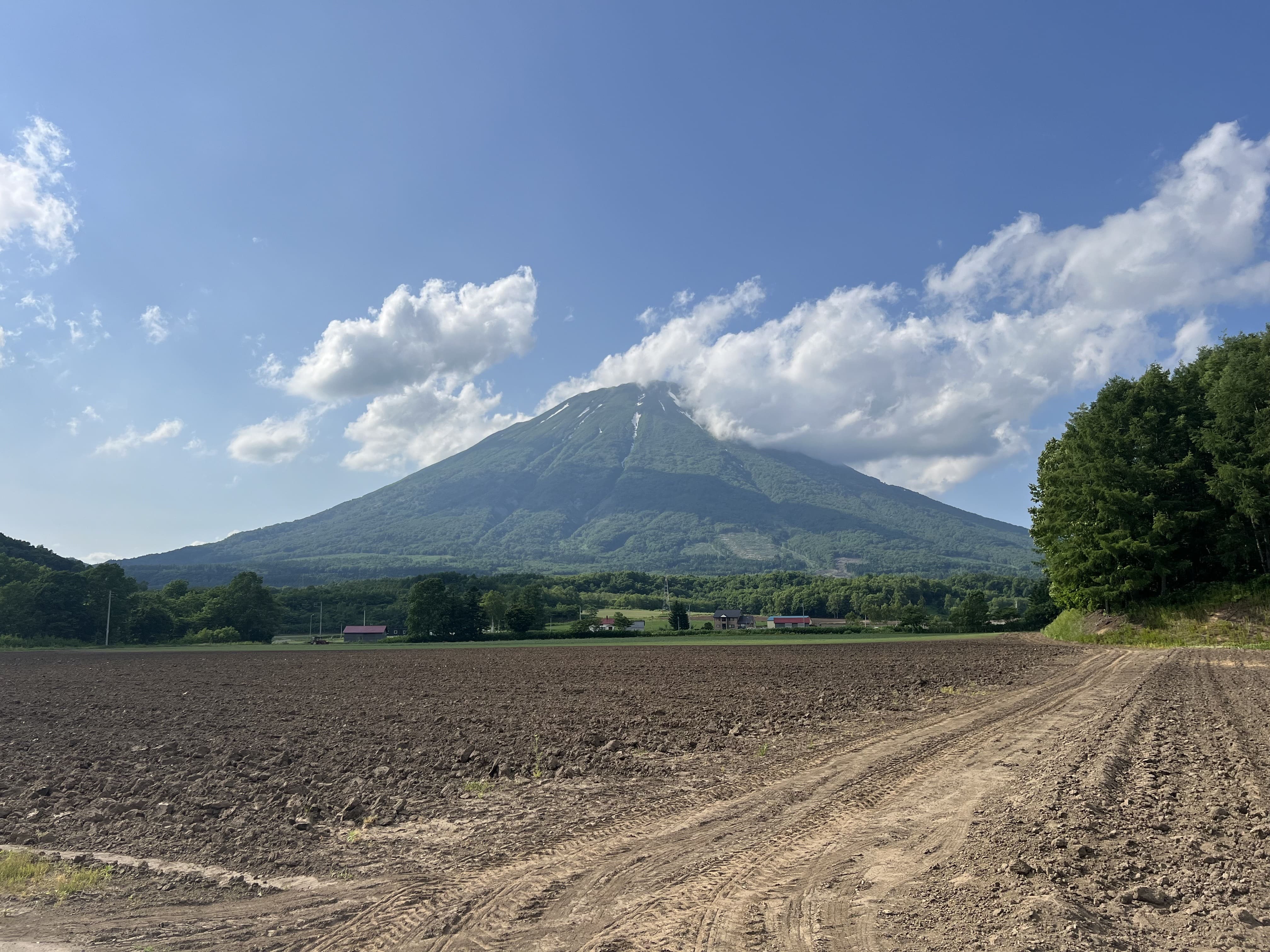 Makkari Yotei View Land